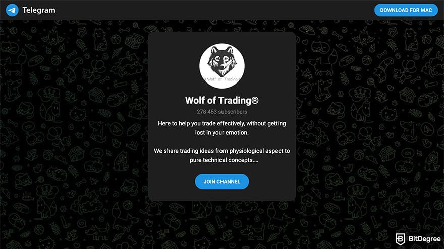 Best crypto Telegram groups: a preview of Wolf of Trading Telegram group invitation link.