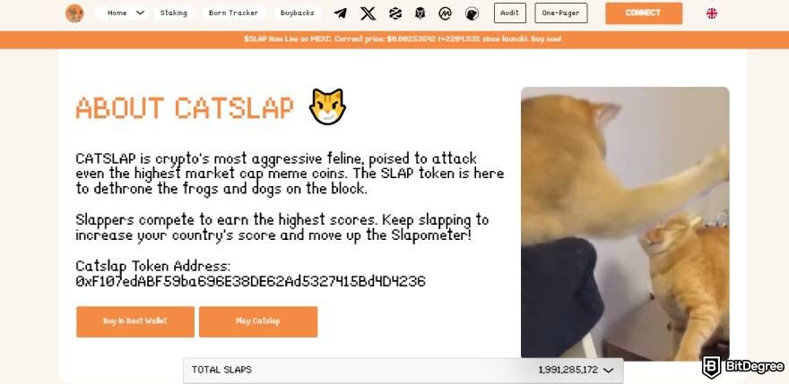 Best crypto under a penny: CatSlap website.