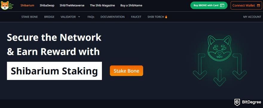 Best crypto under a penny: Shibarium website.