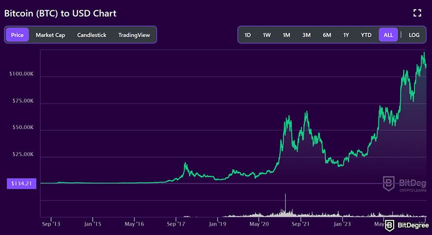 Best cryptocurrency of the year: Bitcoin price chart.