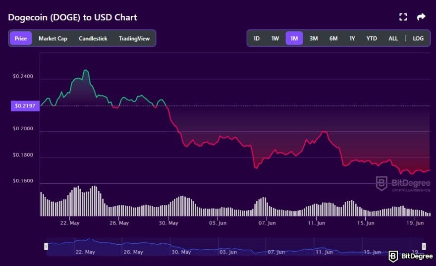Best cryptocurrency to invest today for short term: DOGE to USD price chart on BitDegree crypto tracker.