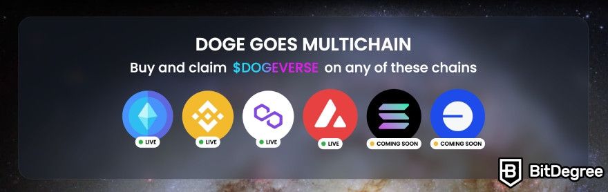Best cryptocurrency to invest today for short-term: Dogeverse.