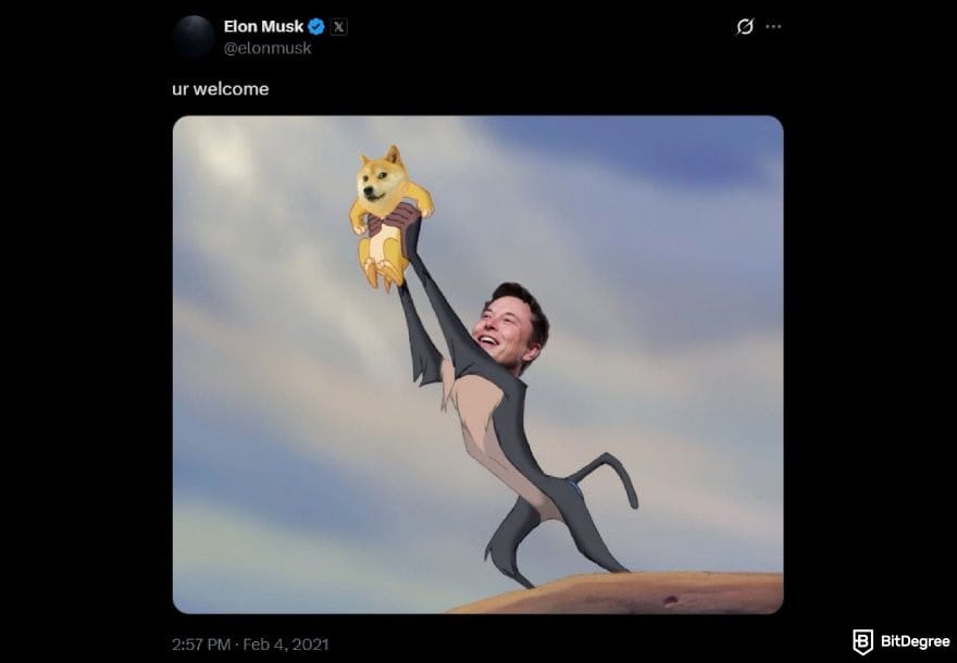 Best cryptocurrency to invest today for short term: Elon Musk tweet showing Dogecoin meme.