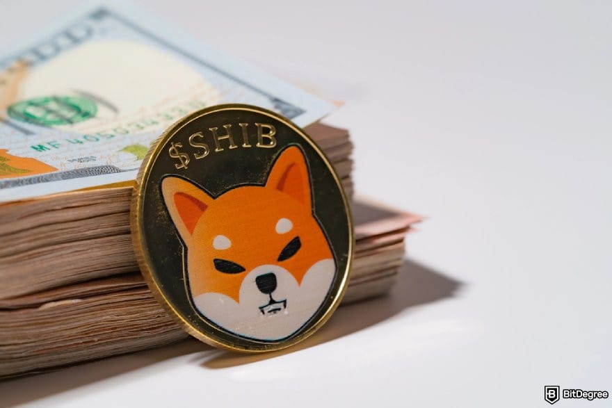 Best cryptocurrency to invest today for short term: a SHIB coin leaning on a stack of $100 bills.