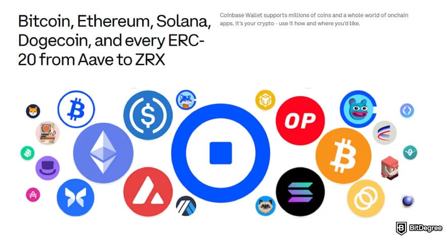 Best DeFi wallet: Coinbase Wallet supports millions of coins and a various of on-chain apps.