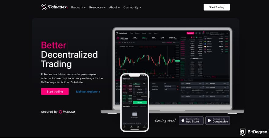Best hybrid crypto exchange: a screenshot of Polkadex's homepage.