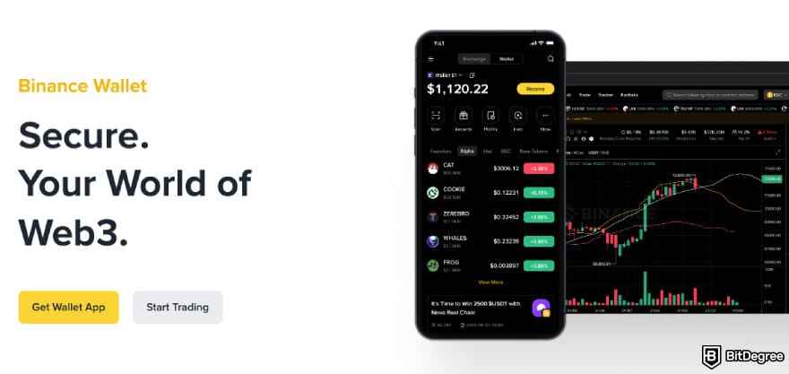 Best Litecoin wallet: the Binance Wallet interface on a mobile app and web browser.