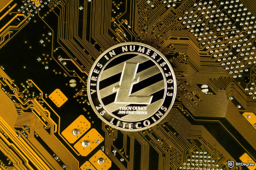 Best Litecoin wallet: LTC coin on a microscheme.