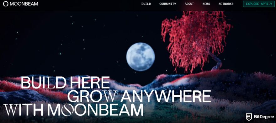 Best low cap market crypto: Moonbeam website.