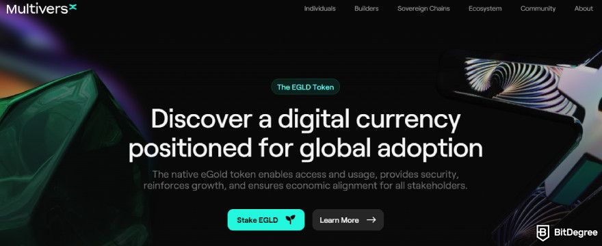 Best low cap market crypto: MultiversX website.