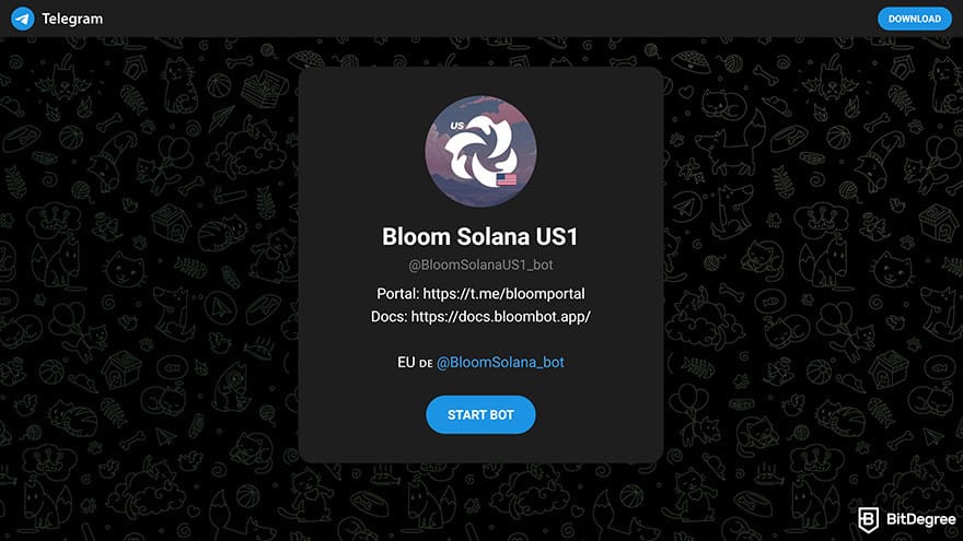 Best meme coin trading tools: Bloom Bot on Telegram.