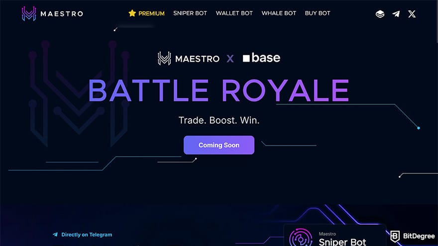 Best meme coin trading tools: Maestro homepage.