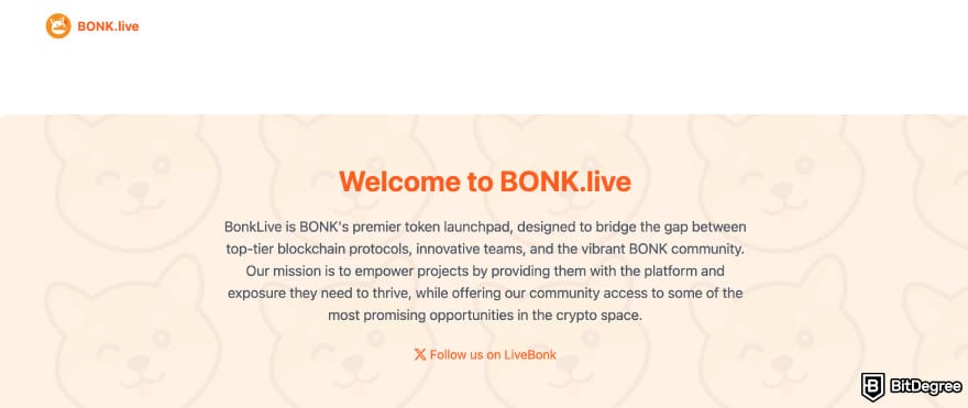 Best meme coins to buy now: BONK.live homepage.
