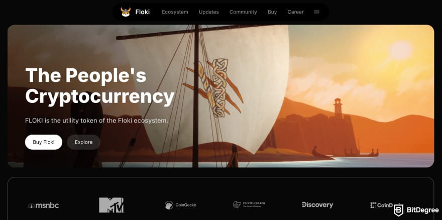 Best meme coins to buy now: FLOKI homepage.