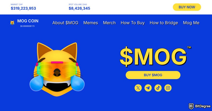 Best meme coins to buy now: MOG coin homepage.
