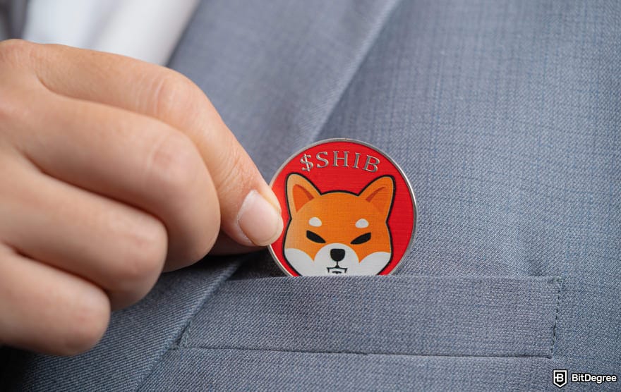 Best meme coins to buy now: SHIB coin put into a jacket to illustrate managing meme coins.