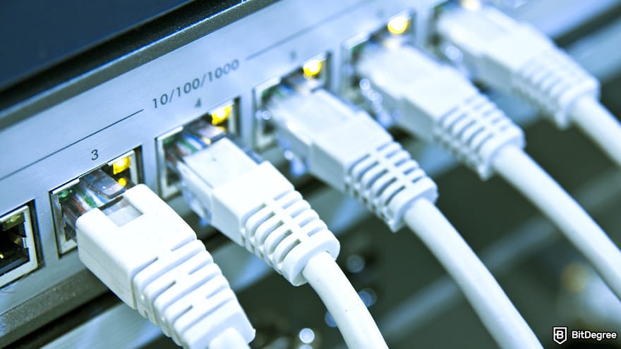 Best metaverse crypto: several ethernet cables in a close-up shot.