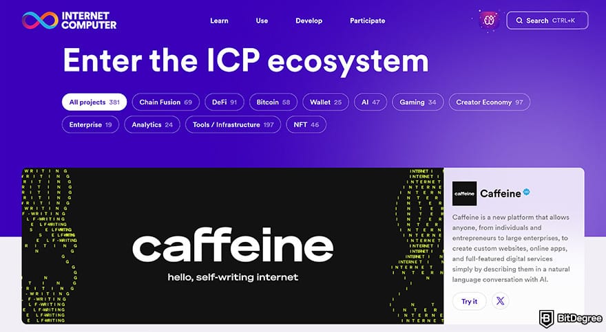 Best metaverse crypto: Internet Computer protocol ecosystem.