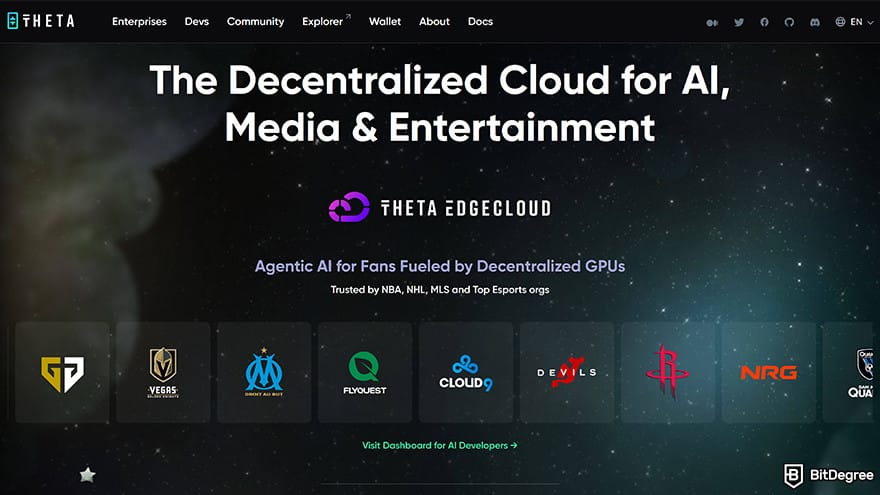 Best metaverse crypto: Theta Network homepage.