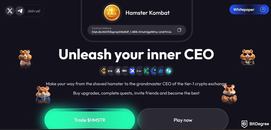 Best play to earn app: Hamster Kombat.