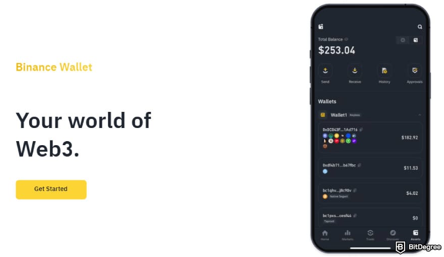 Best Polkadot wallet: Binance Wallet website.