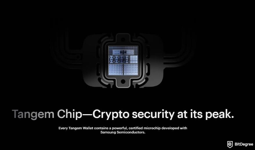 Best Polygon wallet: the description for Tangem Chip.