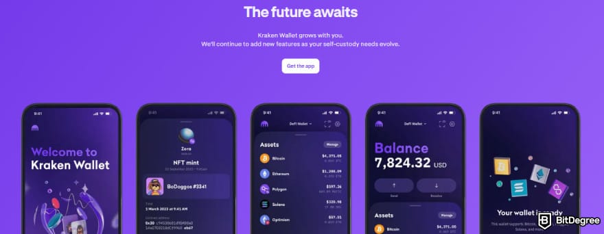 Best Shiba Inu wallet: Kraken Wallet interface.