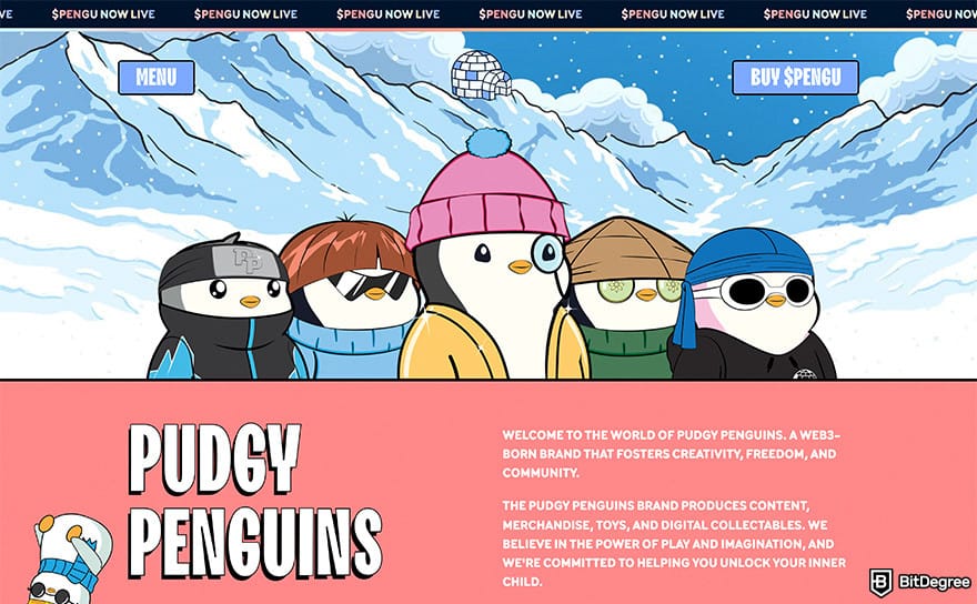 Best Solana airdrops: Pengu webpage.