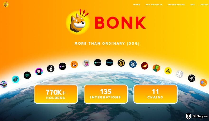 Best Solana meme coins: a screenshot of the Bonk coin's official website.