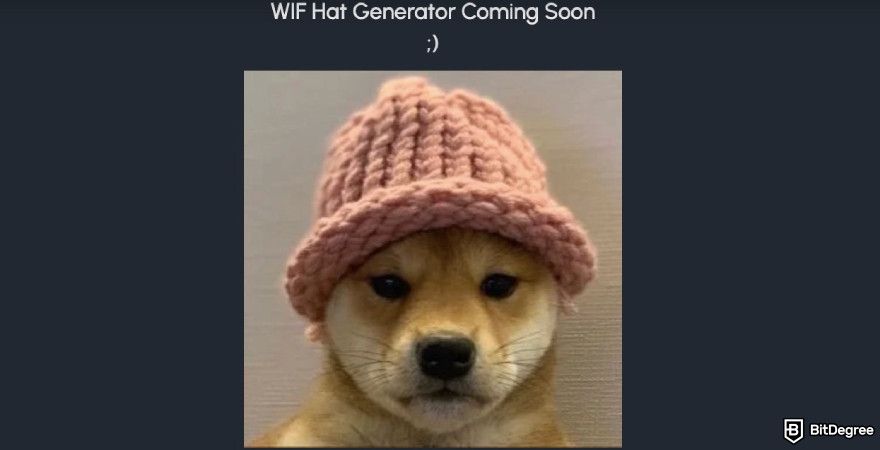 Best Solana meme coins: a screenshot of the Dogwifhat's landing page.