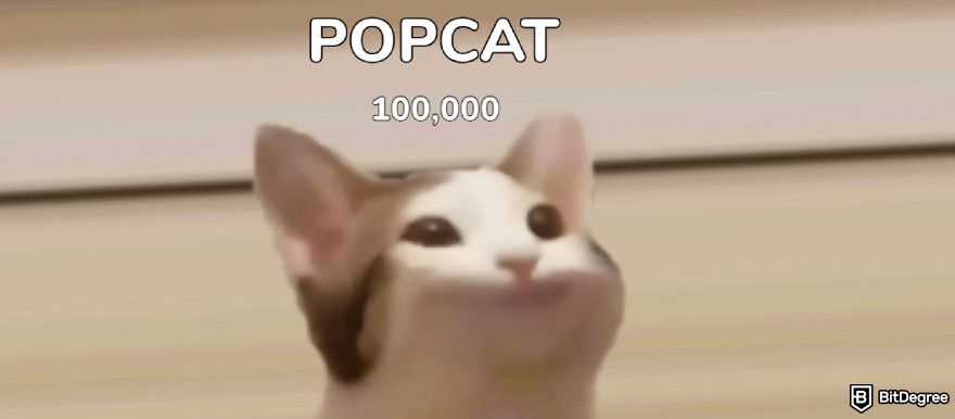 Best Solana meme coins: a screenshot of the Popcat meme website.