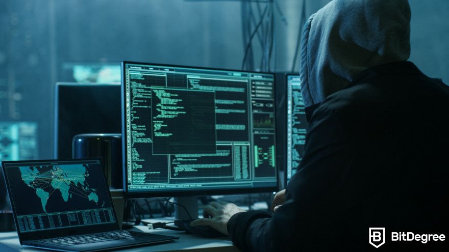 Best stablecoin: a person in a hoodie is sitting in front of a computer.