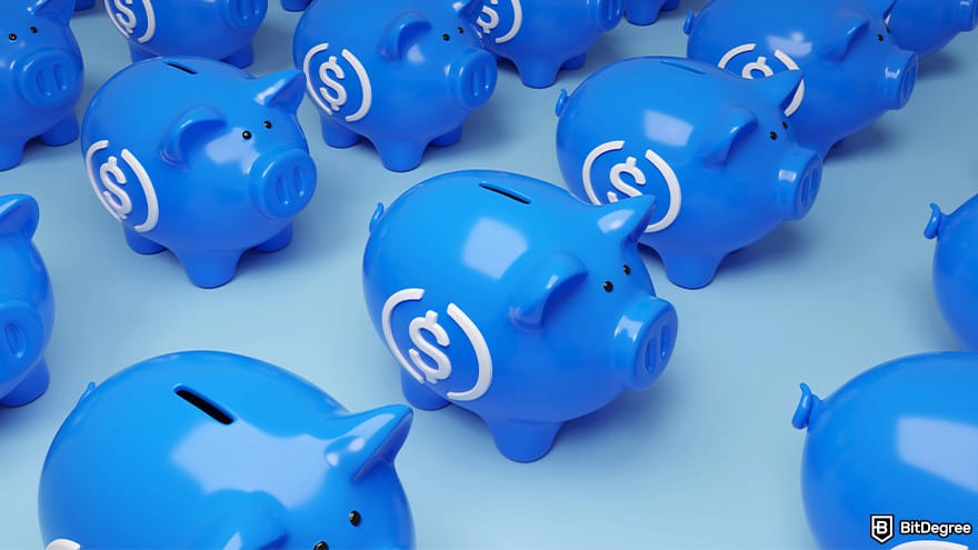 Best stablecoin: USDC piggy banks.