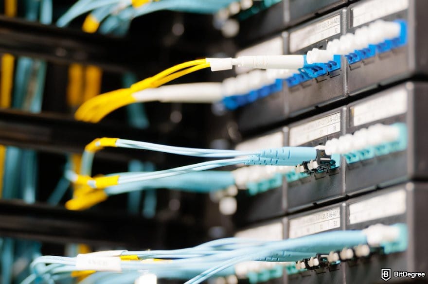 Best staking crypto: network cables connected to a server rack.