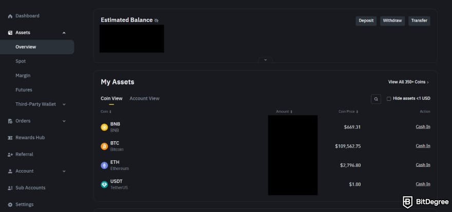 Best Sui wallet: inside the Binance Wallet on the [Overview] section under [Assets].
