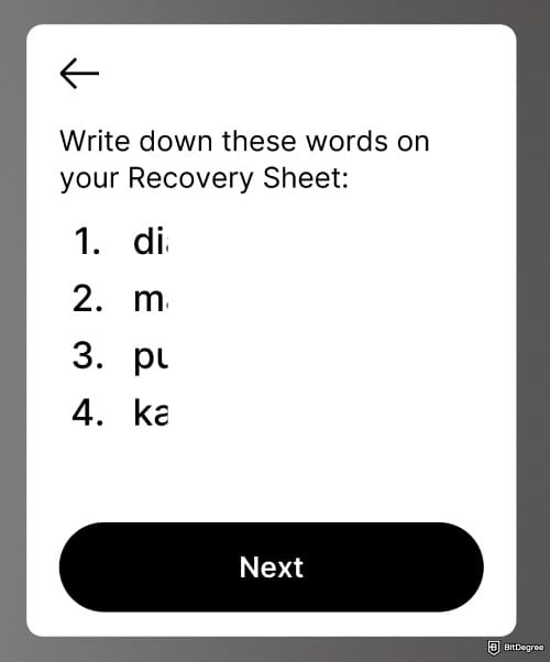 Best Sui wallet: the Ledger Flex screen, prompting to write down a group of words on the Recovery Sheet.
