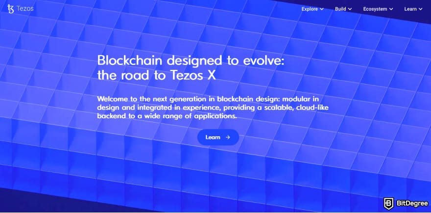 Best Tezos wallet: a screenshot of Tezos's homepage.