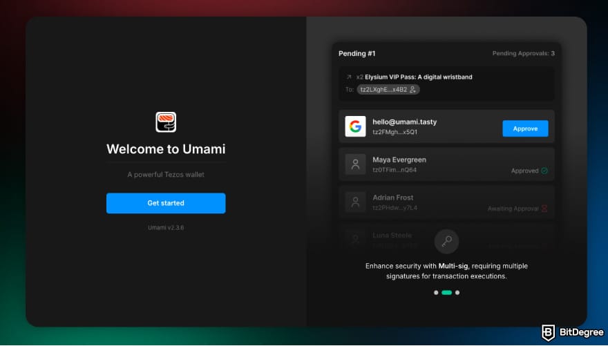 Best Tezos wallet: a screenshot of the Umami desktop app.