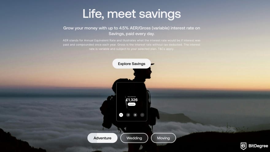 Best way to to send money to Europe: Revolut homepage on savings details.