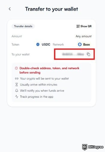 Best way to send money to USA: the page to view wallet address on Ogvio.