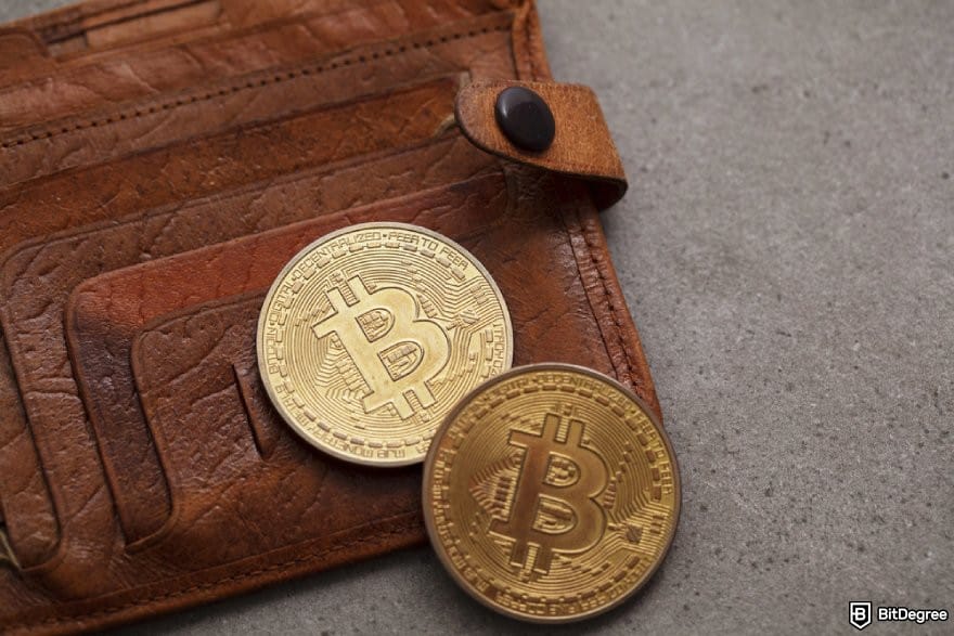 Best Web3 wallet: two BTC coins on a brown wallet.