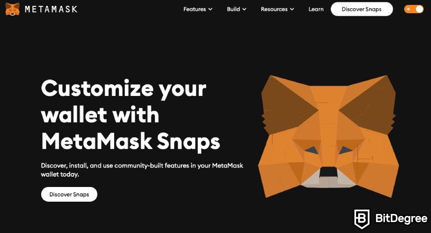 Best Web3 Wallet: The homepage of Metamask Snaps.