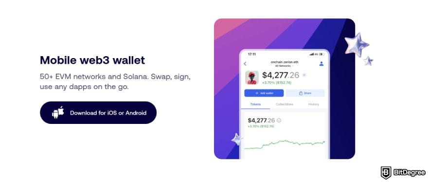 Best Web3 wallet: a description for Zerion's supported networks.