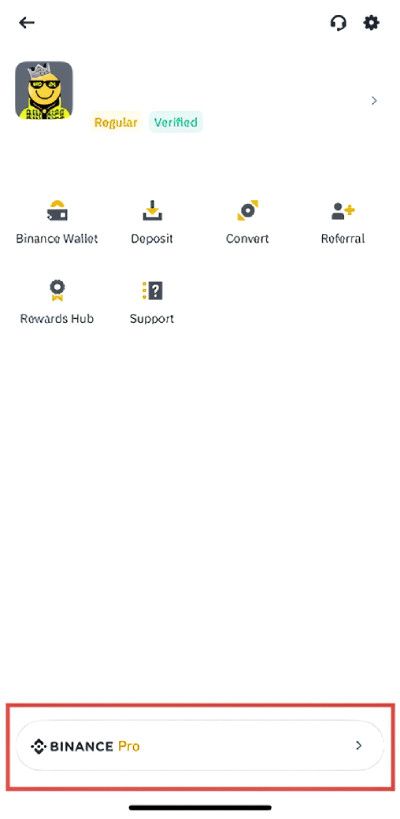 Binance airdrop: Pro mode.