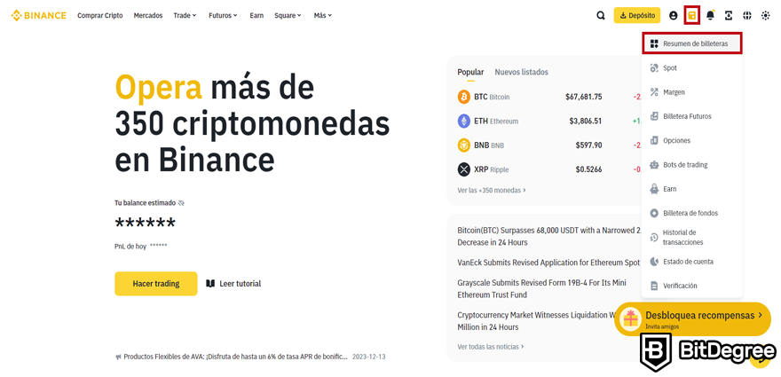 Binance Opiniones: Resumen de Billeteras.