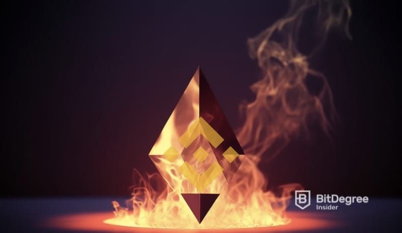 Binance Spent A Lot On Transactions