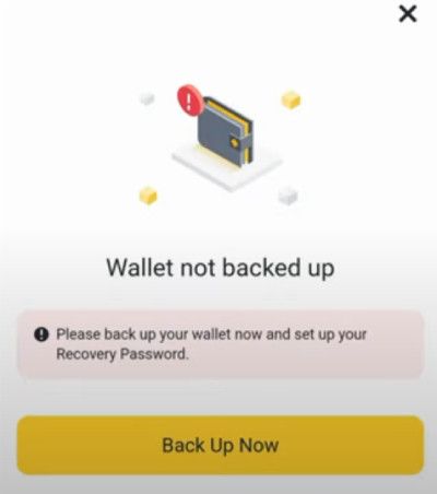 Binance web3 wallet review: back up your wallet.