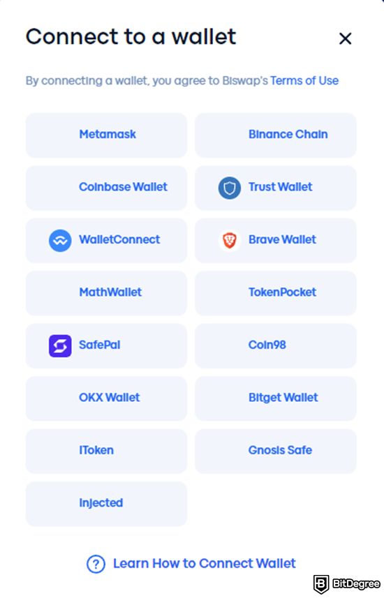 Biswap review: the wallet options on Biswap.