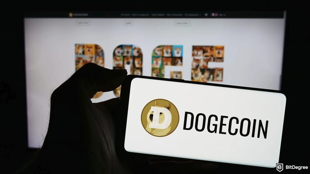 Bit Origin Drops Pork Processing, Picks Up 40.5M DOGE for New Treasury Plan