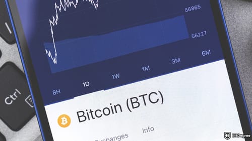 Bitcoin Bet Pays Off? The Smarter Web Company Pulls in $56M in Fresh Funds